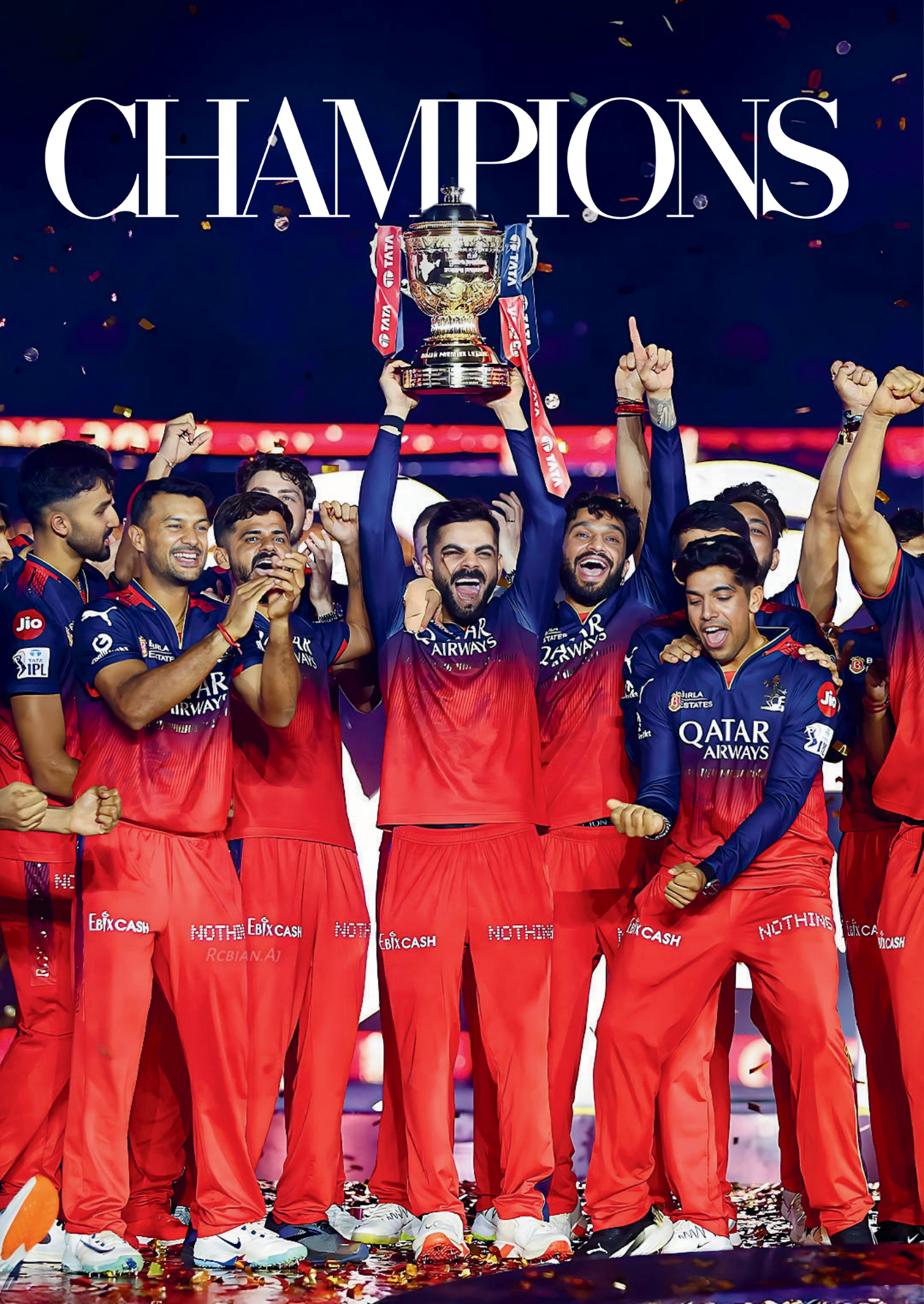 CHAMPIONS — Ultimate Victory Cricket Metal Poster